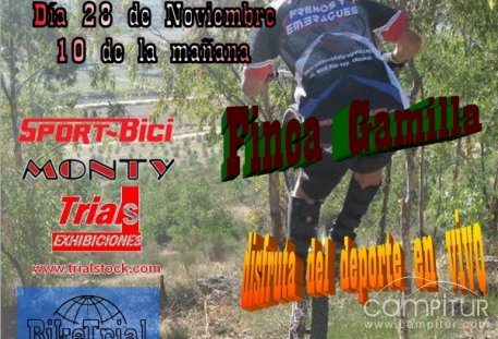 Este domingo Final del Cto. Zona Sur en Azuaga 